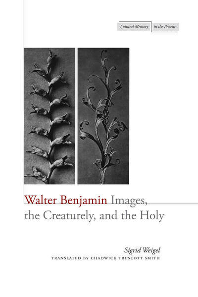 Cover for Sigrid Weigel · Walter Benjamin: Images, the Creaturely, and the Holy - Cultural Memory in the Present (Hardcover Book) (2013)