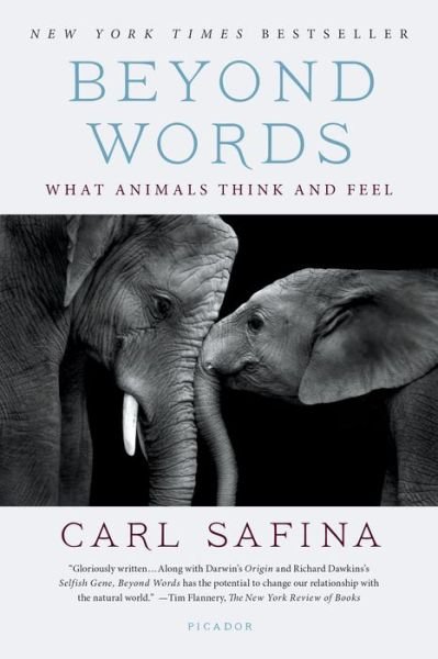 Cover for Carl Safina · Beyond Words: What Animals Think and Feel (Taschenbuch) (2016)