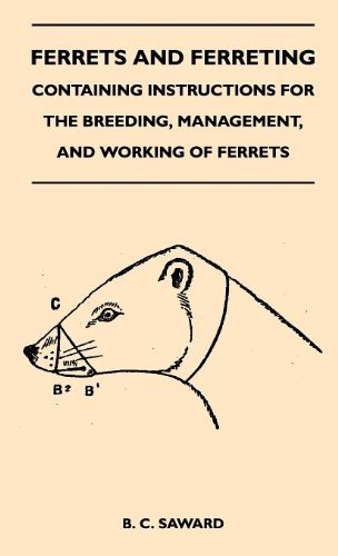 Cover for B. C. Saward · Ferrets and Ferreting - Containing Instructions for the Breeding, Management, and Working of Ferrets (Hardcover Book) (2010)