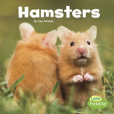 Cover for Lisa J. Amstutz · Hamsters (Book) (2018)