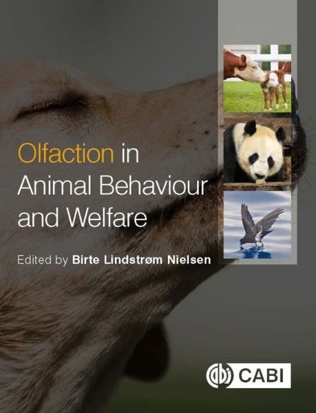 Cover for Birte Nielsen · Olfaction in Animal Behaviour and Welfare (Pocketbok) (2017)
