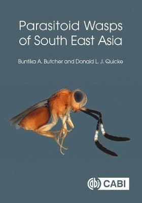 Cover for Butcher, Dr Buntika A (Chulalongkorn University, Thailand) · Parasitoid Wasps of South East Asia (Hardcover Book) (2023)