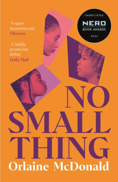 Cover for Orlaine McDonald · No Small Thing: Shortlisted for the 2024 Nero Book Awards for Debut Fiction (Paperback Book) [Main edition] (2025)