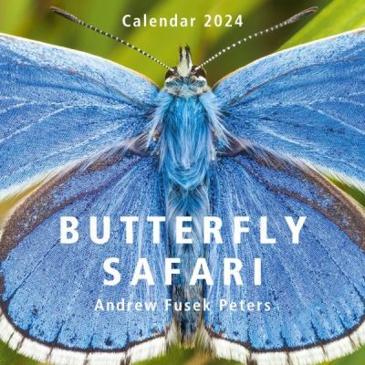 Butterfly Safari Calendar 2024 - Andrew Fusek Peters - Merchandise - Graffeg Limited - 9781802585599 - July 7, 2023