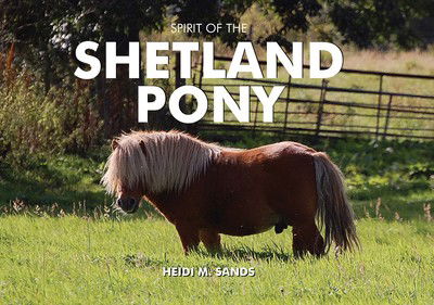 Cover for Heidi M. Sands · Spirit of the Shetland Pony (Hardcover Book) (2010)