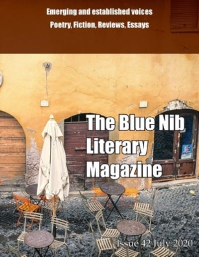 The Blue Nib Literary Magazine - Various contributors - Books - Chaffinch Press - 9781916154599 - July 15, 2020