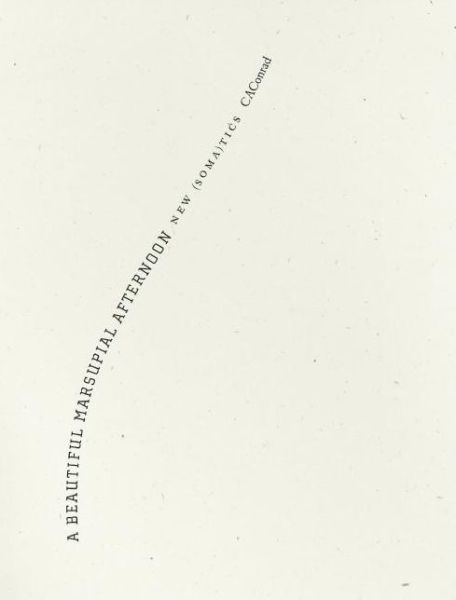 A Beautiful Marsupial Afternoon: New (Soma)tics - CAConrad - Bøger - Wave Books - 9781933517599 - 19. april 2012
