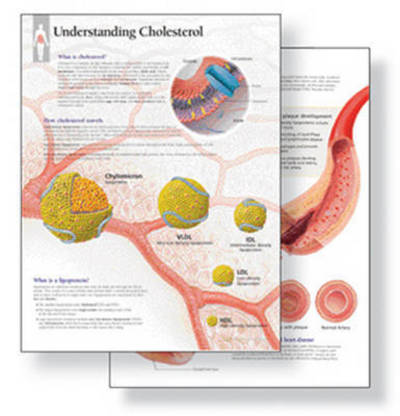 Cover for Scientific Publishing · Understanding Cholesterol Study Set Replacement Pads: Patient Education Study Sets (Taschenbuch) (2015)