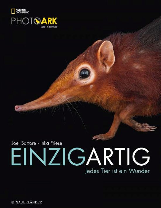 Cover for Friese · Einzigartig (Book)