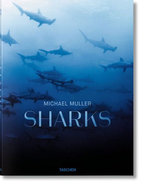 Cover for Arty Nelson · Michael Muller. Sharks (Hardcover Book) (2016)