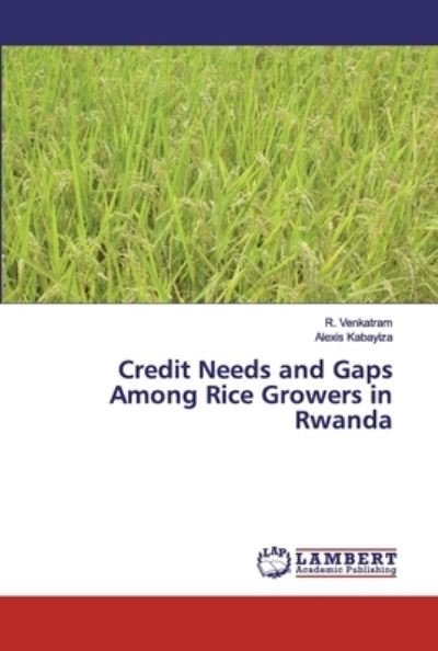 Cover for Kabayiza · Credit Needs and Gaps Among Ri (Book) (2019)