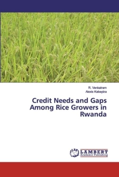 Cover for Kabayiza · Credit Needs and Gaps Among Ri (Bok) (2019)