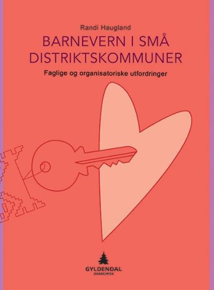 Cover for Haugland Randi · Barnevern i små distriktskommuner : faglige og organisatoriske utfordringer (Sewn Spine Book) (2016)