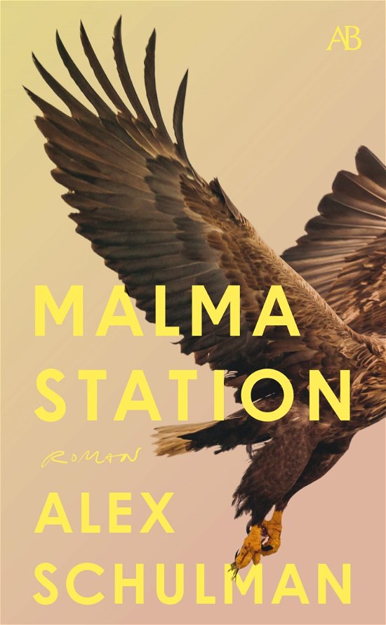 Cover for Alex Schulman · Malma station (Paperback Book) (2023)