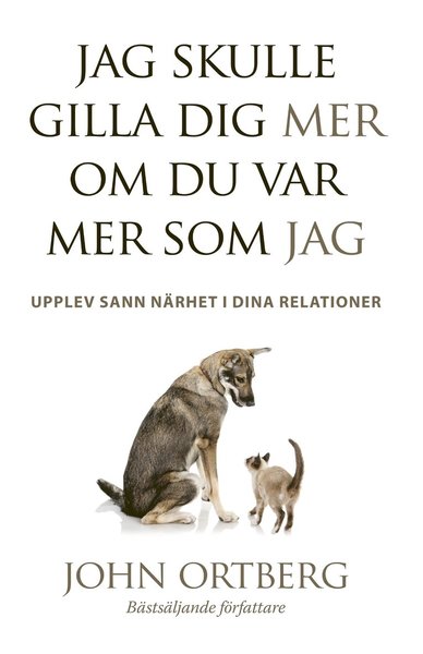 Jag skulle gilla dig mer om du var mer som jag - John Ortberg - Livres - Sjöbergs Förlag AB - 9789188247599 - 1 octobre 2017