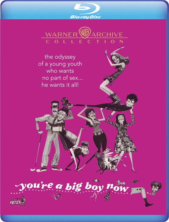 Cover for You're a Big Boy Now (Blu-ray) (2024)