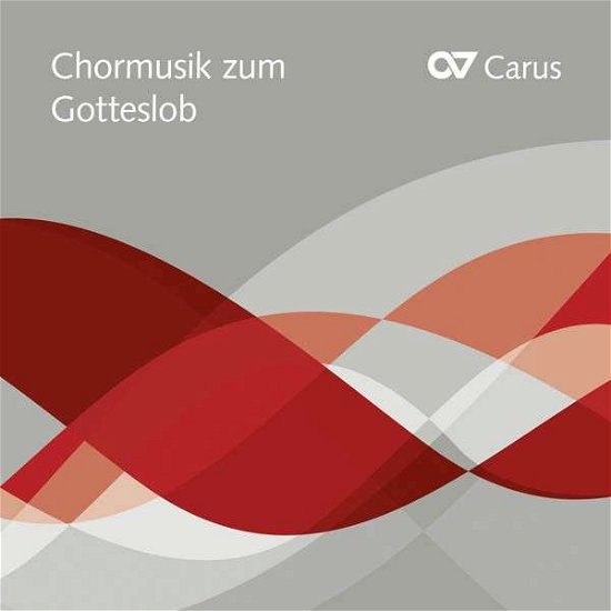 Cover for Figuralchor KÖln / KÖlner Dommusik / Limburger Domchor · Musik Zum Gotteslob (CD) (2013)