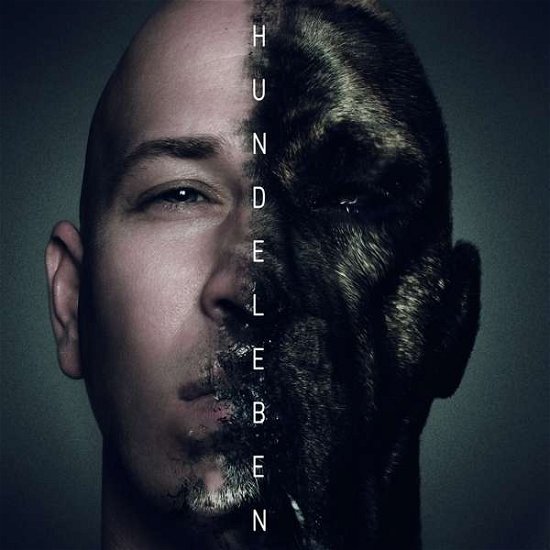 Cover for Dvo · Hundeleben (CD) (2016)
