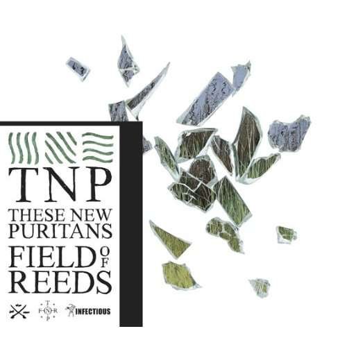 Field of Reeds - These New Puritans - Musik -  - 4582214509600 - 18. juni 2013