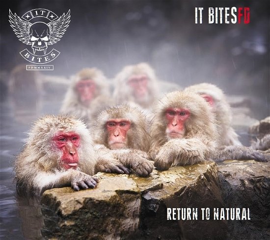 It Bites FD · Return To Natural (CD) (2024)