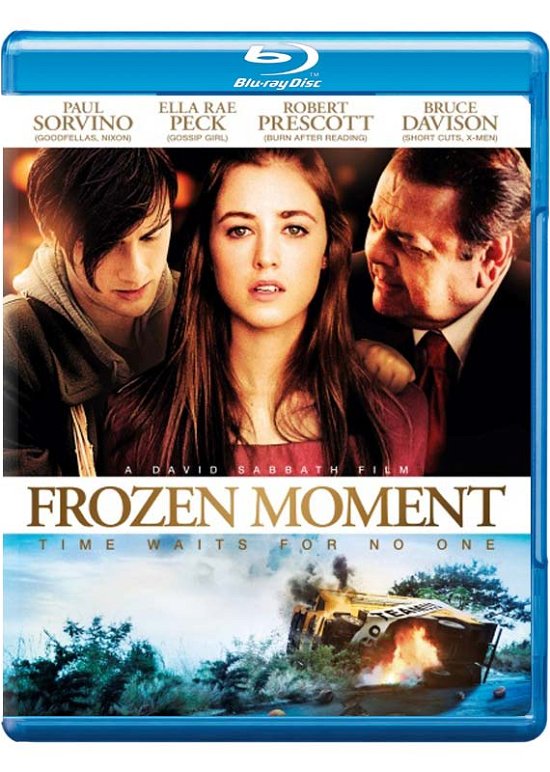 Frozen Moment - V/A - Filme - Takeone - 7350062382600 - 31. Oktober 2013