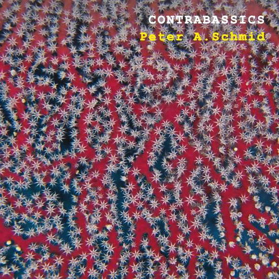 Cover for Peter a Schmid · Contrabassics (CD) (2021)