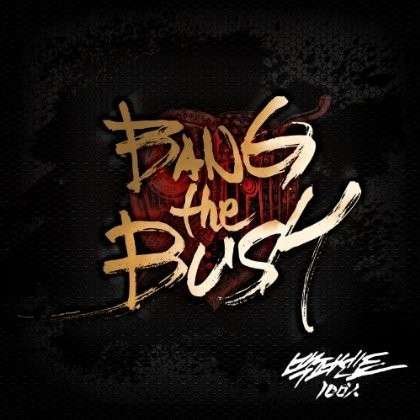 Cover for 100 Percent (100%) · Bang The Bush (2Nd Mini Album) (CD) (2014)