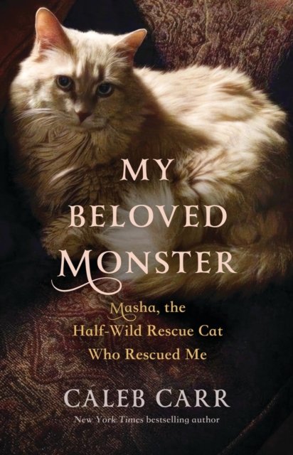 Cover for Caleb Carr · My Beloved Monster : Masha, the Half-wild Rescue Cat Who Rescued Me (Hardcover bog) (2024)