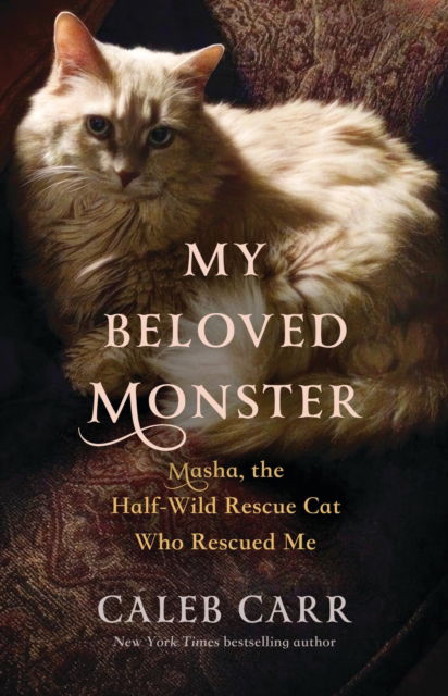 Cover for Caleb Carr · My Beloved Monster : Masha, the Half-wild Rescue Cat Who Rescued Me (Innbunden bok) (2024)