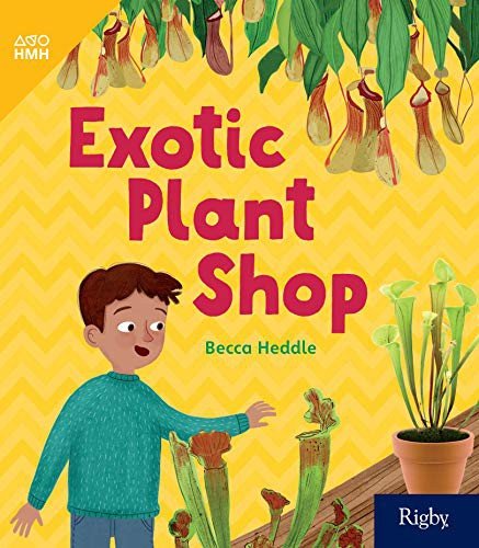 Cover for Becca Heddle · Bookroom Pack Grade 1 Exotic Plant Shop (Paperback Book) (2019)