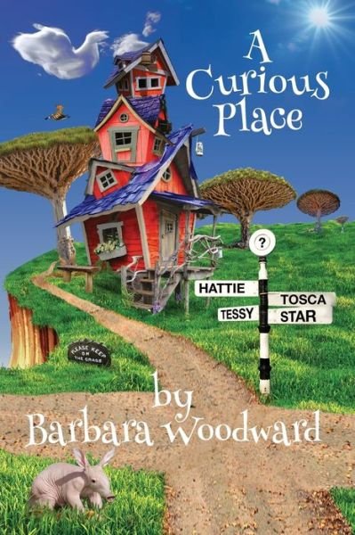 Cover for Barbara Woodward · A Curious Place (Paperback Book) (2018)