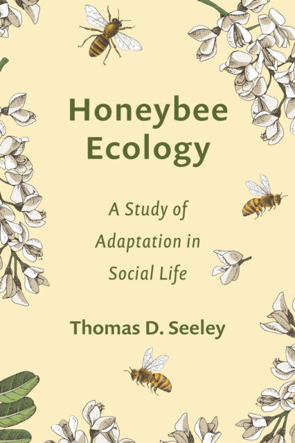 Cover for Thomas D. Seeley · Honeybee Ecology: A Study of Adaptation in Social Life - Monographs in Behavior and Ecology (Paperback Book) (2025)