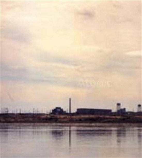 Cover for James Flint · Atomic: James Acord, Carey Young, Mark Waller (Paperback Bog) (1999)