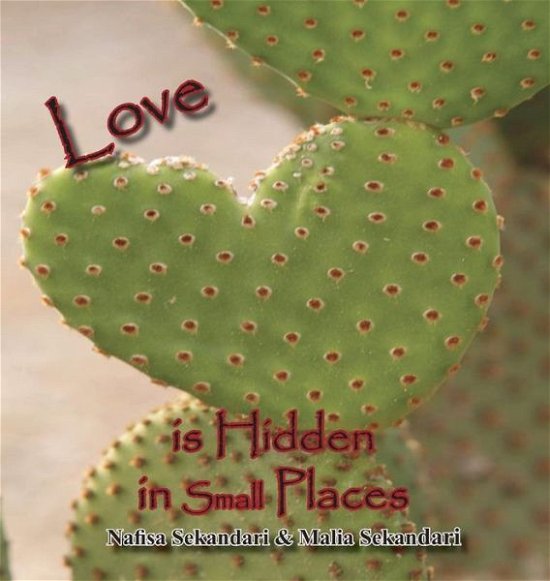 Cover for Nafisa Sekandari · Love Is Hidden in Small Places (Hardcover Book) (2014)