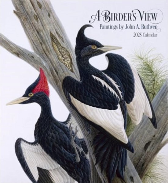 Cover for John A. Ruthven · A Birder's View: Paintings by John A. Ruthven 2025 Wall Calendar (Paperback Book) (2024)