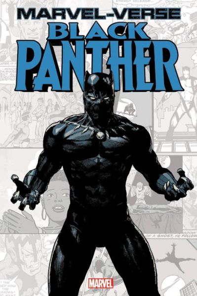 Cover for Jeff Parker · Marvel-verse: Black Panther (Paperback Book) (2020)