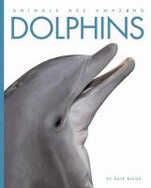 Cover for Kate Riggs · Animals Are Amazing: Dolphins - Animals Are Amazing (Paperback Book) (2014)