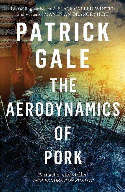 Cover for Patrick Gale · The Aerodynamics of Pork: A delicious debut novel of love, music and comedy, set in the early 1980s (Taschenbuch) (2018)