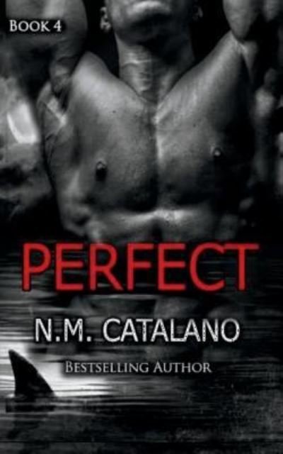 Cover for N M Catalano · Perfect (Taschenbuch) (2016)