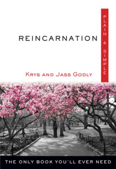 Cover for Krys Godly · Reincarnation plain &amp; simple (Book) (2016)