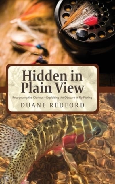 Cover for Duane Redford · Hidden in Plain View (Hardcover Book) (2017)