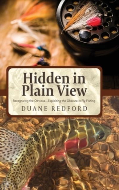 Cover for Duane Redford · Hidden in Plain View (Inbunden Bok) (2017)