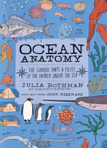 Cover for John Niekrasz · Ocean Anatomy: The Curious Parts &amp; Pieces of the World under the Sea (Paperback Book) (2020)