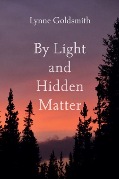 Cover for Lynne Goldsmith · By Light and Hidden Matter (Book) (2022)