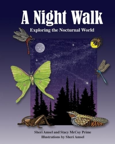 Cover for Sheri Amsel · A Night Walk: Exploring the Nocturnal World (Paperback Book) (2022)