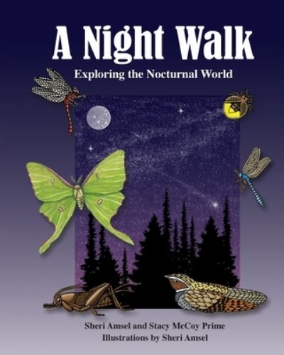A Night Walk: Exploring the Nocturnal World - Sheri Amsel - Books - Am Ink Publishing - 9781943201600 - September 1, 2022