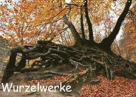 Cover for N · Wurzelwerke (Wandkalender 2020 DIN A3 (Bog)