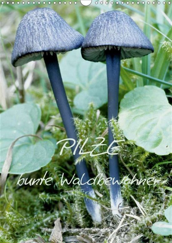 Cover for N · Pilze (Wandkalender 2021 DIN A3 hoch) (Bok)