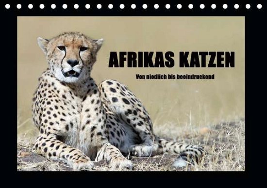 Cover for Stern · Afrikas Katzen (Tischkalender 202 (Book)