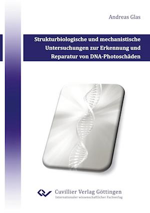 Cover for Andrea Glas · Strukturbiologische und mechanistische Untersuchungen zur Erkennung und Reparatur von DNA-Photoschäden (Paperback Book) (2010)